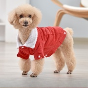 Áo Cho Thú Cưng – Tô Điểm Phong Cách Cho Chó Mèo Thêm Đáng Yêu